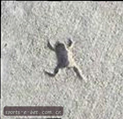 吴涛